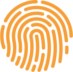 een unieke inleefreis-mobile